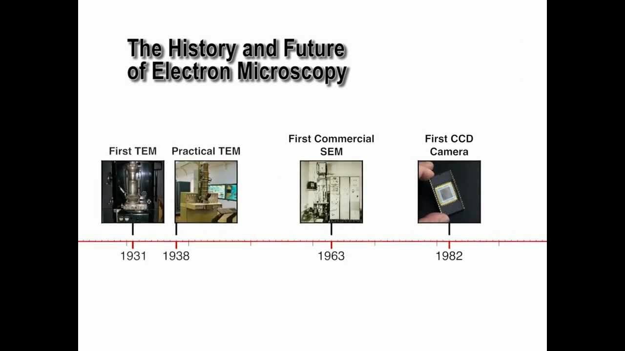 The History and Future of Electron Microscopy .... video - Delta ...